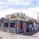 해송갈치