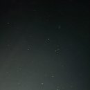 명성게찜 이미지