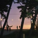 마검포태안캠핑장 - 2329 | 마검포태안캠핑장
