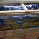 충무활어횟집 이미지