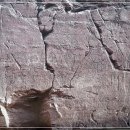 11650-17-147-5 | [#12]2026년 봄마중_반구대 천전리각석 일대 노루귀 '26.3.5(목)