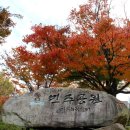 부산시민헌장 네이버블로그