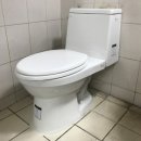 부강약국 이미지