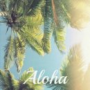 Relieve(릴리브) 이미지