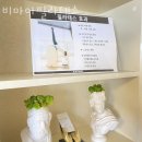 비마이필라테스