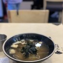 국수나무안산