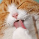 남양굽네치킨