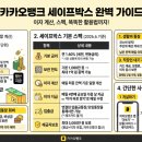 스테디세이프