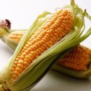 김상우한의원 이미지