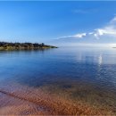 커피 인문학 이미지