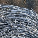 철선농장 이미지