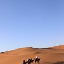 사하라 사막 ( 북아프리카 ) 이미지