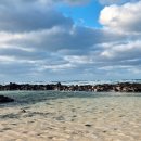 한경면 청수물마을 | 19주차 임산부의 태교 여행 in 제주도 둘째날 (25.12.30~26.01.01)