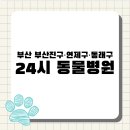 닥터펫동물의료센터 | [전국 24시 동물병원 지도 #47] 부산 중심권 편 : 부산진구·연제구·동래구를 아우르는 8대 거점 병원