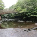 한라산둘레길 사려니숲길 이미지