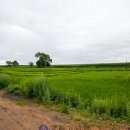 정완농장 이미지