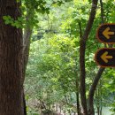 만인산자연휴양림 이미지