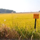 머르메가는길 이미지