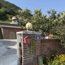 개도중앙1로 이미지