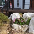 탑현대공인중개사사무소 이미지