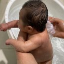 참사랑마트 | 참사랑어머니회 추천후기