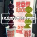 대단한탕후루부산 광안점 포도 탕후루 뿌셔본 후기