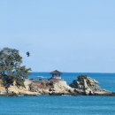 Sweet stay at Joy's | A Calm Korean Traditional Cafe 송정 오션뷰 카페 수월경화