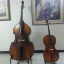 콘트라베이스 이미지