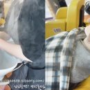 원헤어살롱 이미지