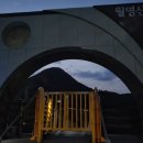 출렁다리 카페 이미지