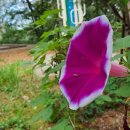 광교스마트공인중개사사무소 이미지