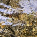 행복빌리지캠핑장 이미지