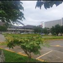 시스케이프 이미지