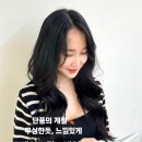 머리헤어 이미지