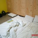 그린파크텔 이미지