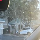 엣드림(주) | (플로리다/사라소타)1월 일상