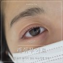 고려코아빌딩 | [야탑] 속눈썹펌 맛집, "래쉬무아르" 단백질 케어링 펌 솔직후기