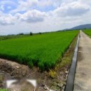 흥동 농장 이미지