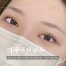 보떼달동