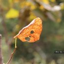 대성다방 - 구미시 상장4길 1 | 대성다방
