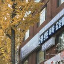 루첼라리아 이미지