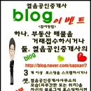 왕대박부동산공인중개사사무소 이미지
