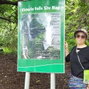 안녕, 아프리카 이미지