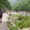 내원사 - 811 | 내원사