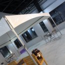 킹콩하우스 애견카페 이미지