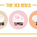 백본 휘트니스 이미지