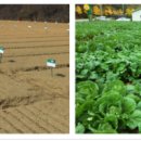 송촌농장 이미지