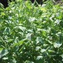 홍원농장 이미지