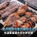 야닭 | 바쁜 평일 저녁 10분 컷 집밥 토리야야키토리 닭양념육 리얼후기