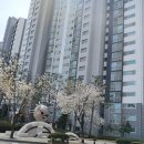 밤꽃마을뜨란채 공인중개사사무소 이미지